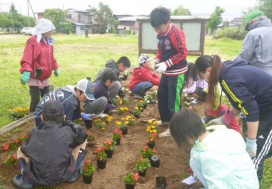 よしじま山に花苗を植栽