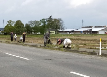 写真:ふれあい道路愛護事業の様子