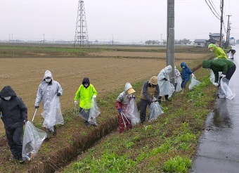写真:ふれあい道路愛護事業の様子