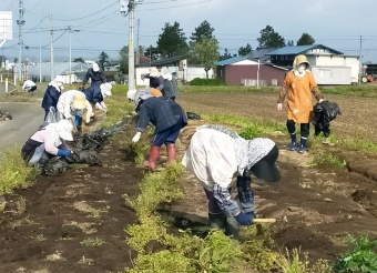 写真:ふれあい道路愛護事業の様子