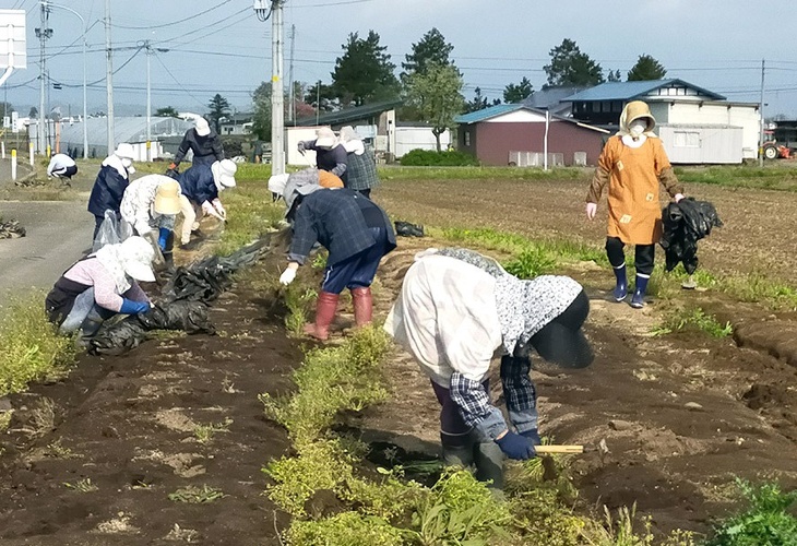 写真：ふれあい道路愛護事業の様子