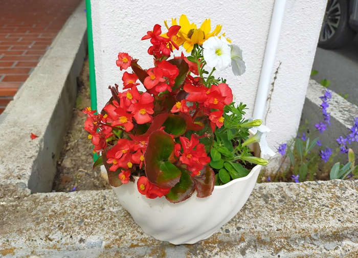 写真：下吉田ボランティア会さんよりいただいたお花