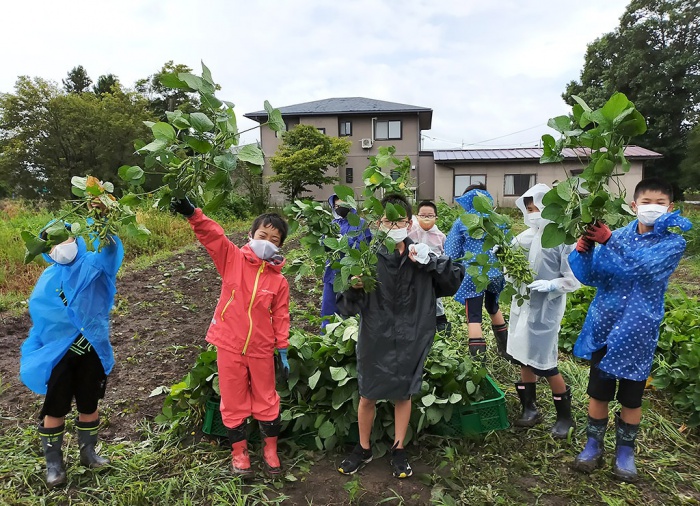 写真：第3回わんぱくキッズスクール：畑で収穫している児童