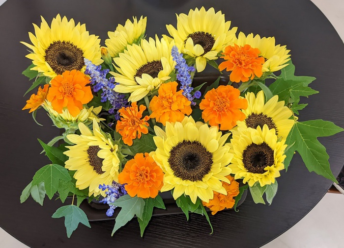 写真：笹木喜一さん（吉田西）よりいただいたひまわり