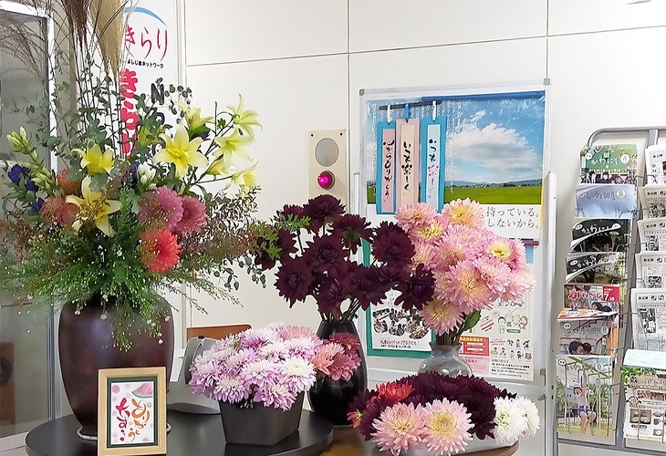写真:今野善博さん(三ツ井)よりいただいた色鮮やかなダリヤ