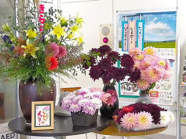 写真：地域の方にいただいたダリヤの花