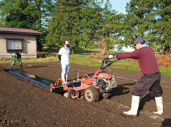 写真：畑を耕している