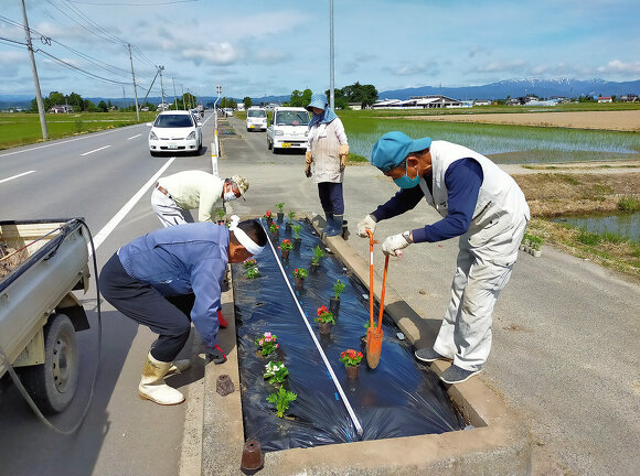 写真:花壇に花を植えている様子:吉島地区緑化推進事業
