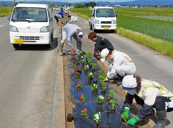 写真:花壇に花を植えている様子:吉島地区緑化推進事業