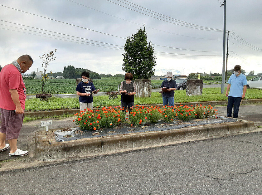 写真：緑化推進事業花壇コンクール第3回審査会の様子