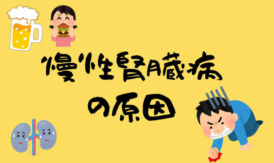 慢性腎臓病の原因