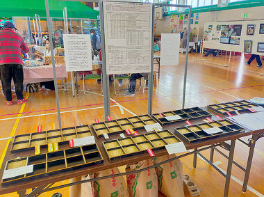 写真：吉島ふれあい祭2022の様子