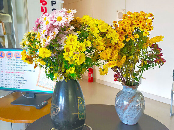 写真：尾田けい子さん、髙橋よし子さんよりいただいた色鮮やかな菊