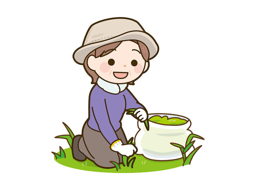 イメージイラスト：草むしりをしている女性