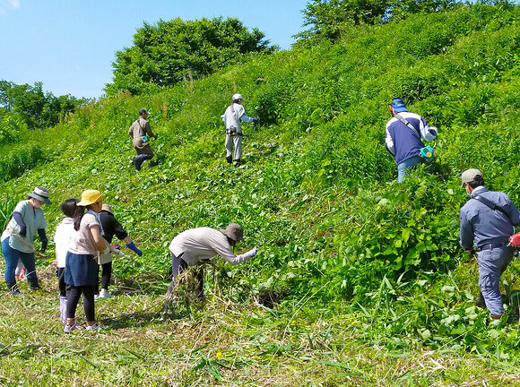 吉島地区緑化推進事業：草刈りの様子