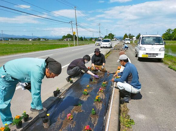 吉島地区緑化推進事業：花苗植栽の様子