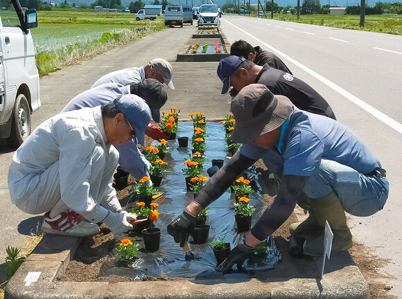 吉島地区緑化推進事業：花苗植栽の様子