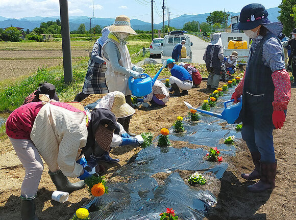 吉島地区緑化推進事業：花苗植栽の様子