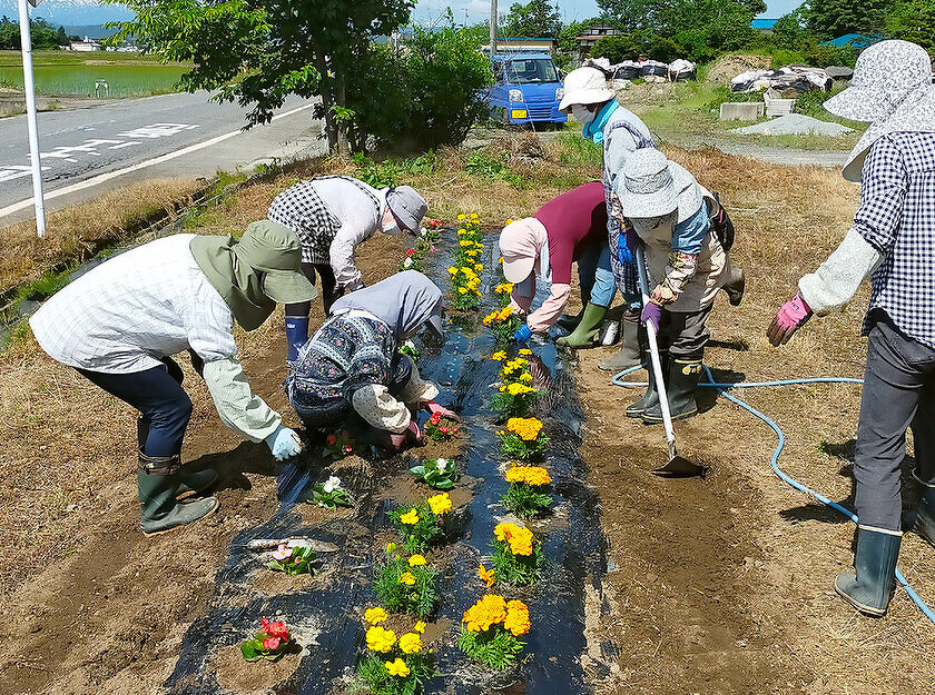 吉島地区緑化推進事業：花苗植栽の様子