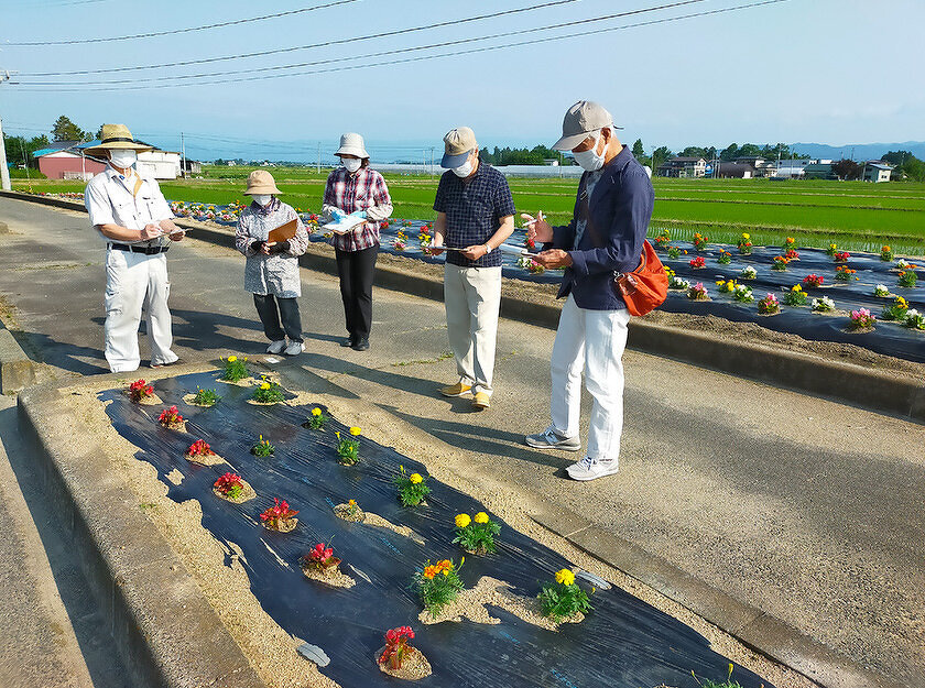 緑化推進事業花壇コンクール、第１回審査会の様子