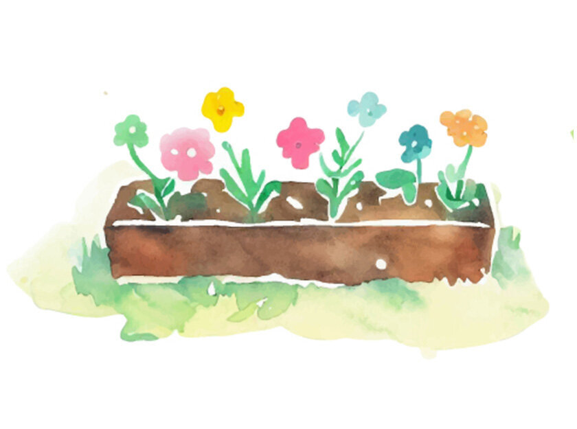 花壇のイラスト