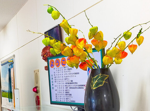 髙橋和子さん（南郷）からきれいなほおずきをいただきました。