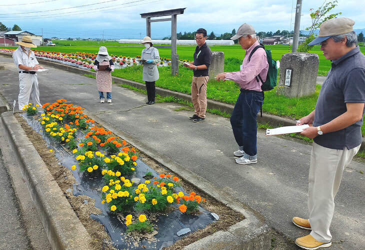 写真:花壇コンクール審査のようす