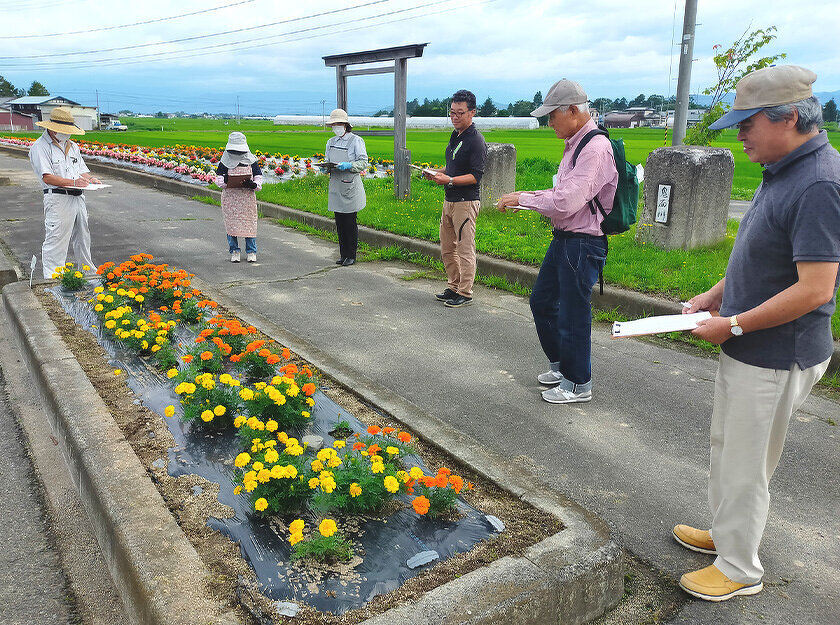 写真：花壇コンクール審査のようす