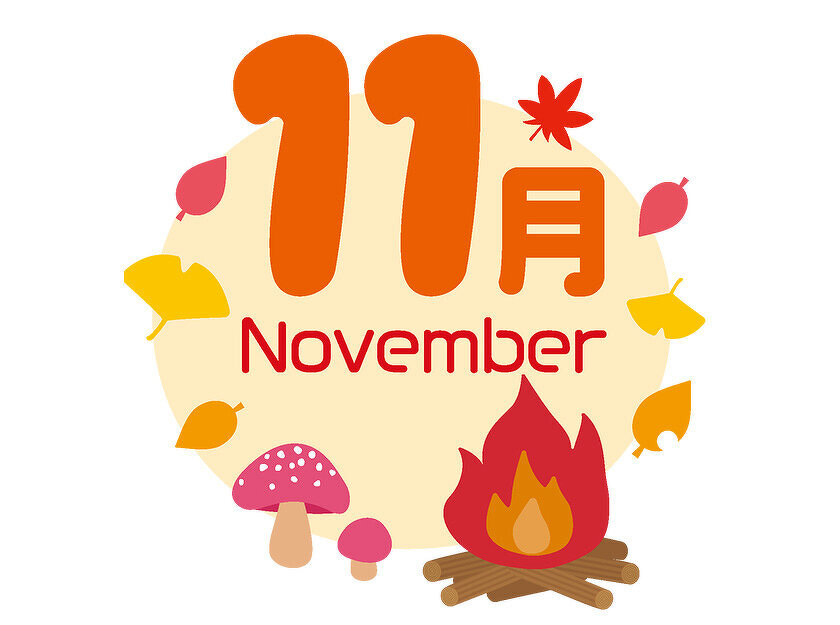 11月