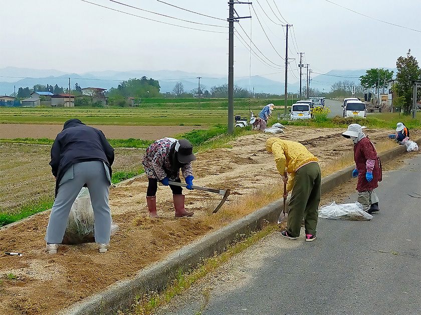 写真：ふれあいの道路愛護事業の様子