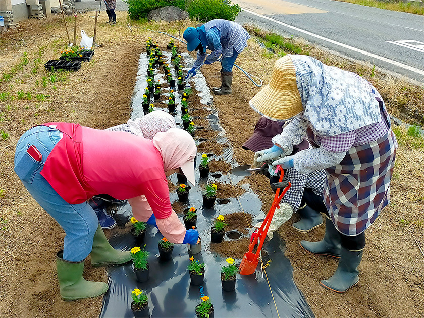 吉島地区緑化推進事業の様子