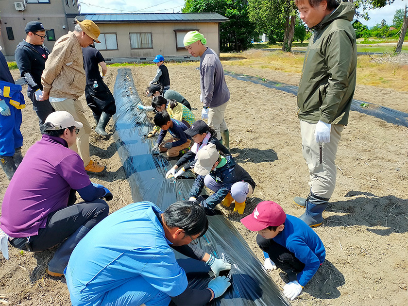 わんぱく農園でとうもろこし・ジャガイモ、さつまいもの苗の植え付け、枝豆の種まきをしている様子:わんぱくキッズスクール