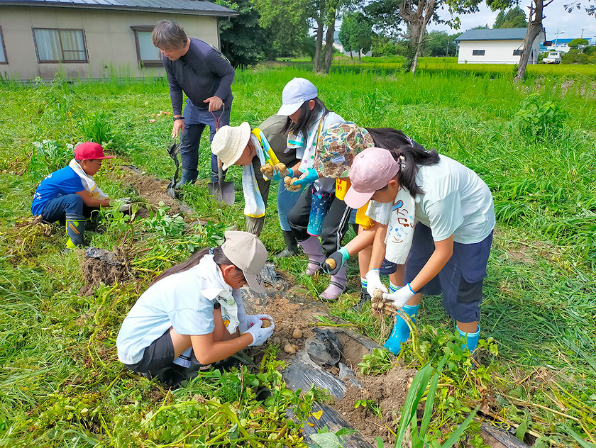 写真:わんぱくキッズスクール:じゃがいも、枝豆、スイカの収穫