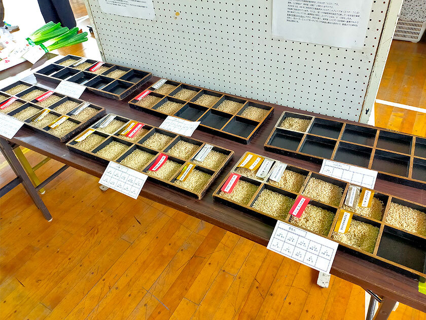 写真:吉島ふれあい祭2024の様子