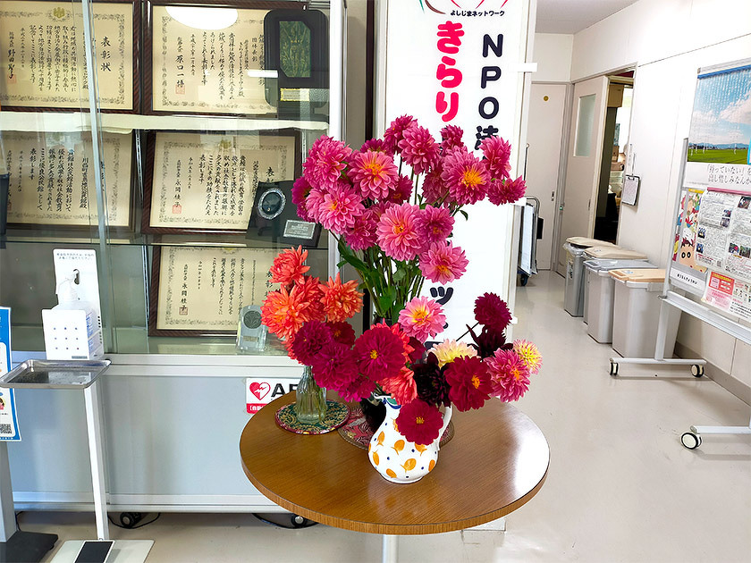 写真：今野善博さん（三ツ井）よりいただいた素敵なダリア