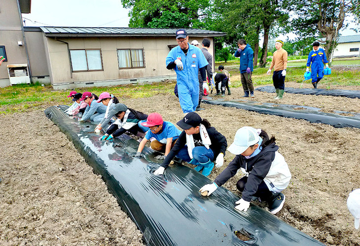 わんぱく農園での小玉スイカ、ジャガイモの苗の植え付け、枝豆の種まきのようす