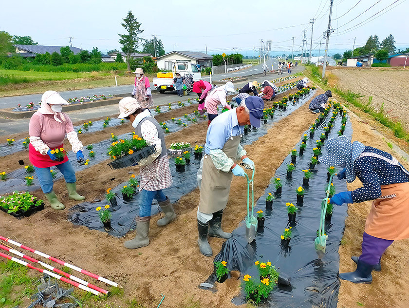 吉島地区緑化推進事業の様子
